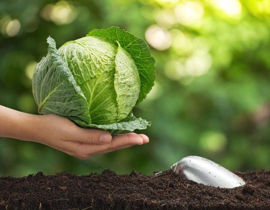 Foto de calendario con mano escribiendo